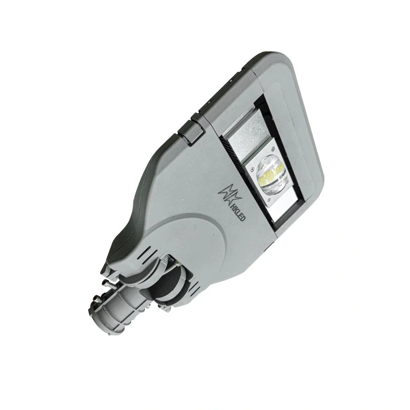 Đèn đường cao áp 50W hàng Việt Nam - D01