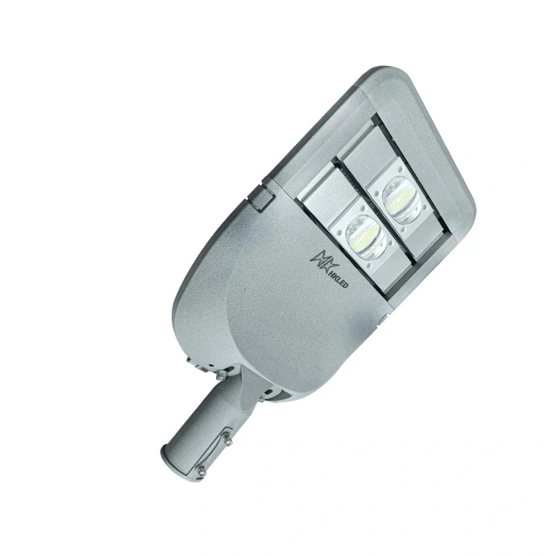 Đèn đường khu đô thị 100W IP66 - D02