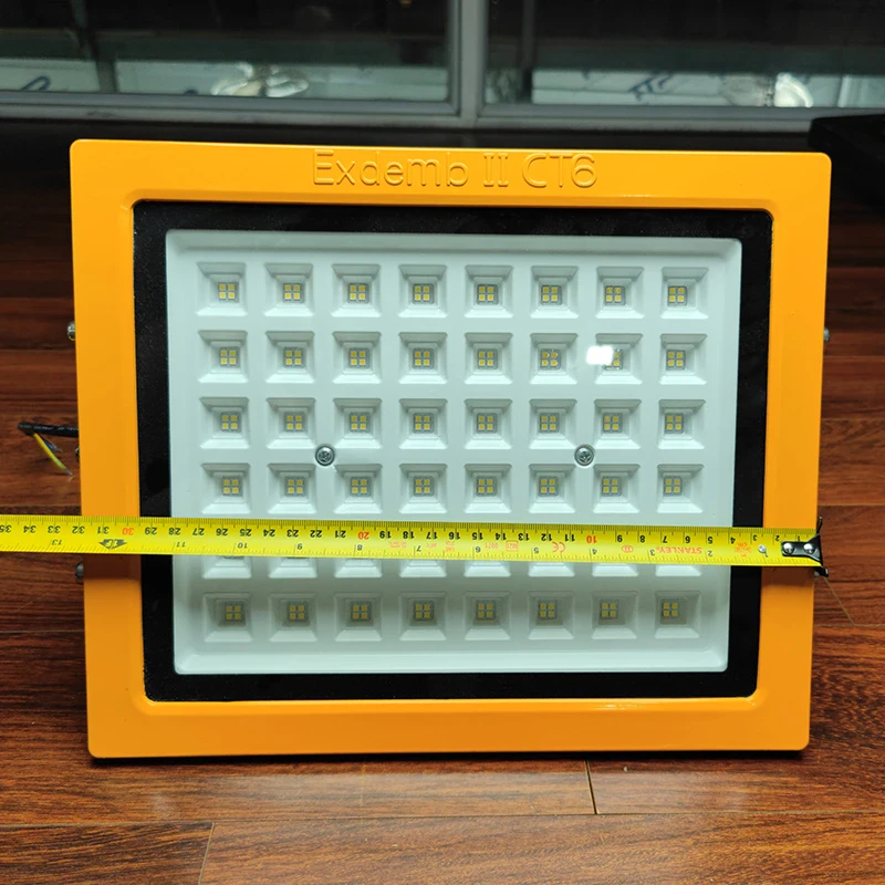 Đèn phòng nổ DNP1S150 - Ảnh 4