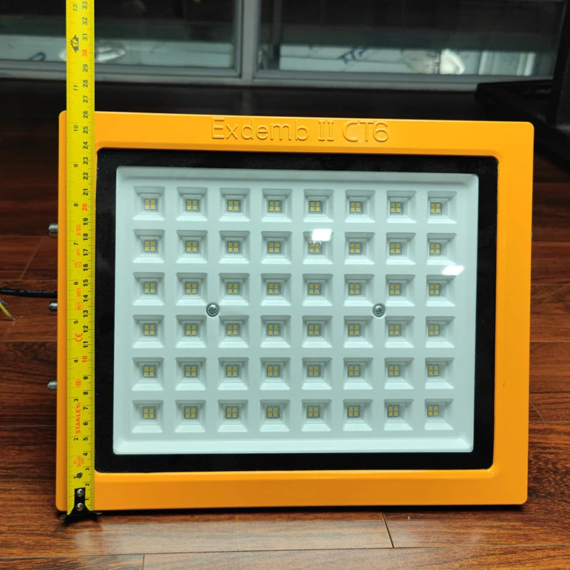 Đèn phòng nổ DNP1S150 - Ảnh 3