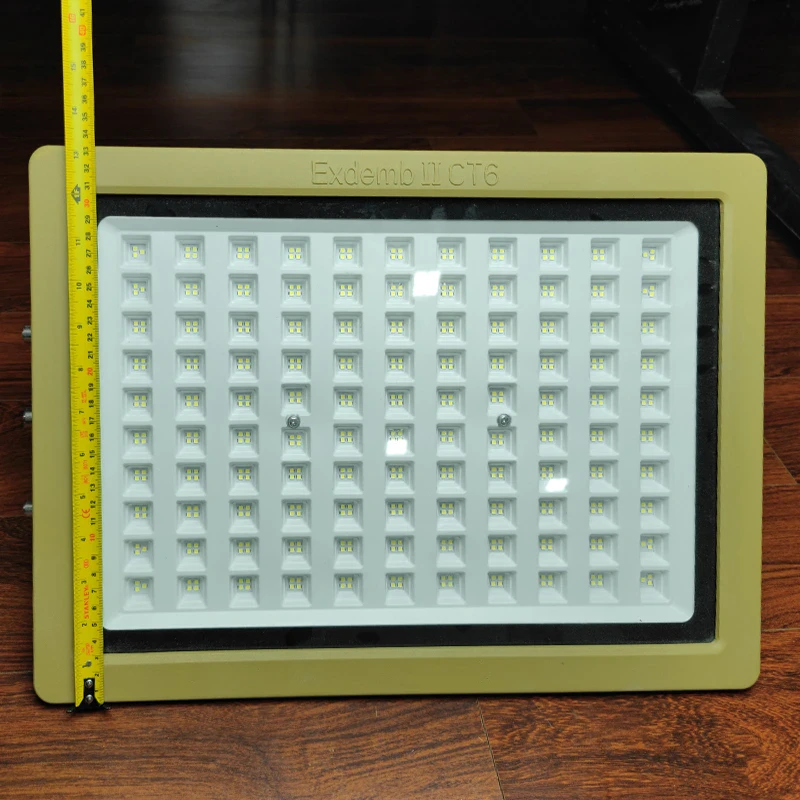 Đèn phòng nổ DNP1S400 - Ảnh 4